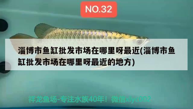 淄博市魚缸批發(fā)市場在哪里呀最近(淄博市魚缸批發(fā)市場在哪里呀最近的地方) 除藻劑