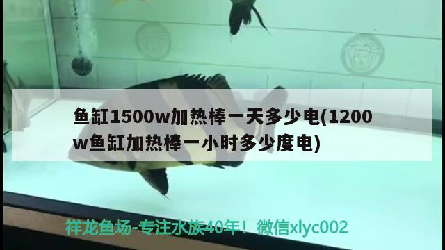 魚缸1500w加熱棒一天多少電(1200w魚缸加熱棒一小時多少度電) 野生埃及神仙魚