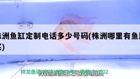 株洲魚缸定制電話多少號碼(株洲哪里有魚缸買)