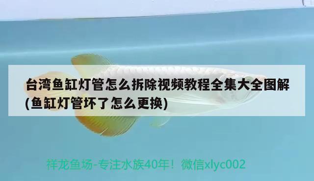 臺(tái)灣魚(yú)缸燈管怎么拆除視頻教程全集大全圖解(魚(yú)缸燈管壞了怎么更換) 黃金貓魚(yú)百科