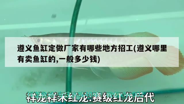 遵義魚缸定做廠家有哪些地方招工(遵義哪里有賣魚缸的,一般多少錢)