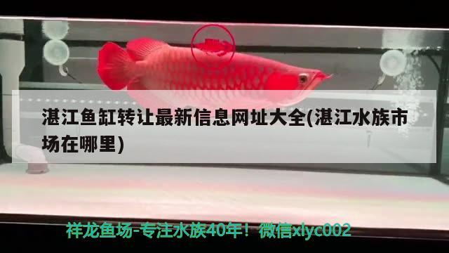 湛江魚(yú)缸轉(zhuǎn)讓最新信息網(wǎng)址大全(湛江水族市場(chǎng)在哪里)