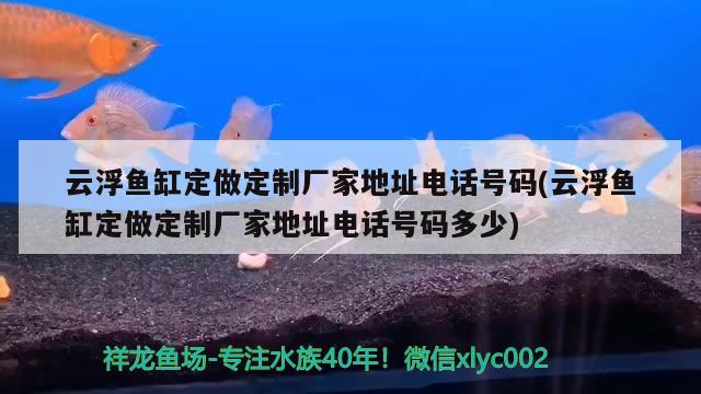 云浮魚缸定做定制廠家地址電話號碼(云浮魚缸定做定制廠家地址電話號碼多少) 紅白錦鯉魚