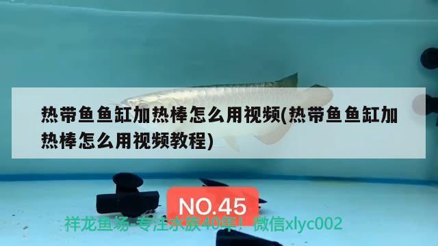 熱帶魚魚缸加熱棒怎么用視頻(熱帶魚魚缸加熱棒怎么用視頻教程) 蘇虎