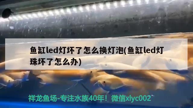 魚缸led燈壞了怎么換燈泡(魚缸led燈珠壞了怎么辦)