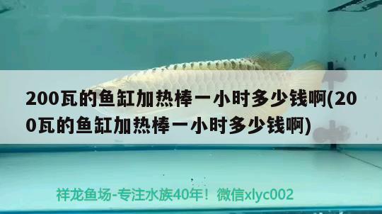 200瓦的魚缸加熱棒一小時(shí)多少錢啊(200瓦的魚缸加熱棒一小時(shí)多少錢啊)