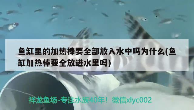 魚缸里的加熱棒要全部放入水中嗎為什么(魚缸加熱棒要全放進(jìn)水里嗎) 觀賞魚水族批發(fā)市場