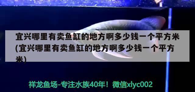 宜興哪里有賣魚缸的地方啊多少錢一個平方米(宜興哪里有賣魚缸的地方啊多少錢一個平方米)