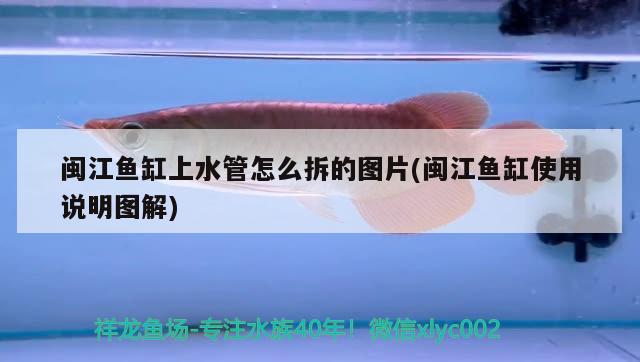 閩江魚缸上水管怎么拆的圖片(閩江魚缸使用說明圖解)