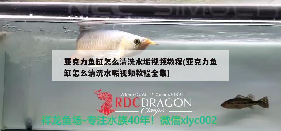 亞克力魚缸怎么清洗水垢視頻教程(亞克力魚缸怎么清洗水垢視頻教程全集) 委內(nèi)瑞拉奧里諾三間魚苗