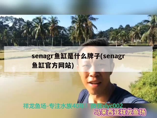 senagr魚缸是什么牌子(senagr魚缸官方網(wǎng)站) 祥龍龍魚魚糧