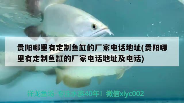 貴陽哪里有定制魚缸的廠家電話地址(貴陽哪里有定制魚缸的廠家電話地址及電話)