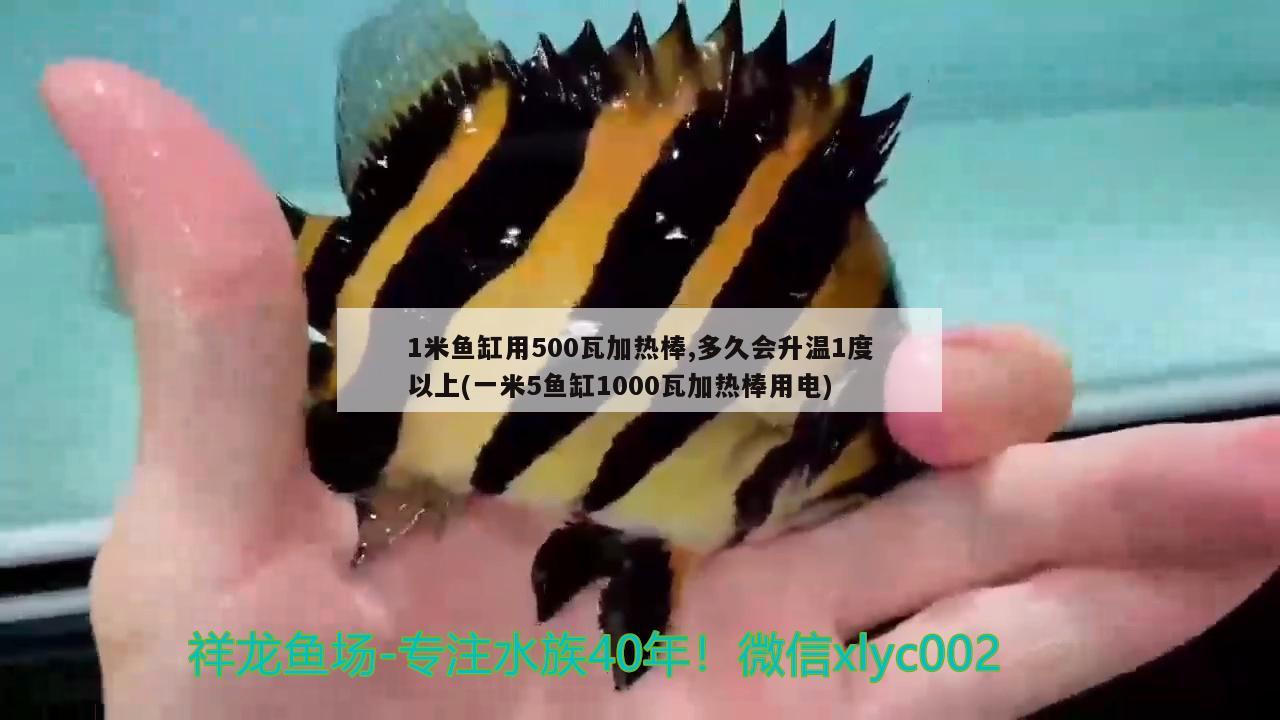 1米魚缸用500瓦加熱棒,多久會升溫1度以上(一米5魚缸1000瓦加熱棒用電)