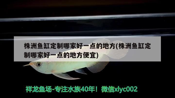 株洲魚缸定制哪家好一點的地方(株洲魚缸定制哪家好一點的地方便宜)