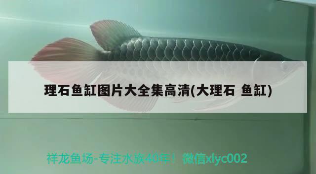 理石魚缸圖片大全集高清(大理石魚缸) 觀賞魚進出口