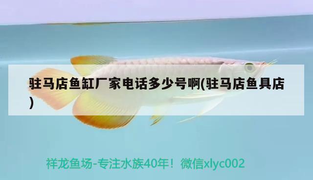 駐馬店魚缸廠家電話多少號啊(駐馬店魚具店) 泰龐海蓮魚