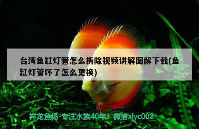 臺(tái)灣魚(yú)缸燈管怎么拆除視頻講解圖解下載(魚(yú)缸燈管壞了怎么更換)