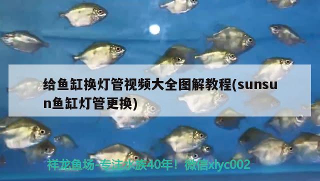 給魚缸換燈管視頻大全圖解教程(sunsun魚缸燈管更換) 肥料