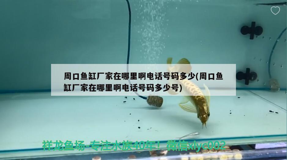 周口魚(yú)缸廠家在哪里啊電話(huà)號(hào)碼多少(周口魚(yú)缸廠家在哪里啊電話(huà)號(hào)碼多少號(hào))