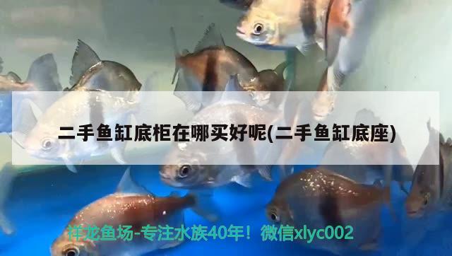 二手魚缸底柜在哪買好呢(二手魚缸底座) 元寶鯽