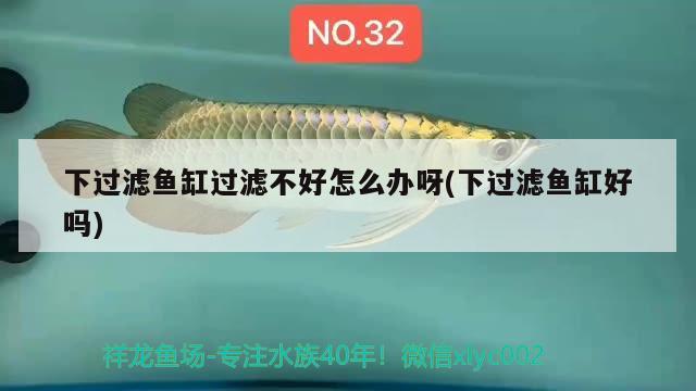 下過濾魚缸過濾不好怎么辦呀(下過濾魚缸好嗎)