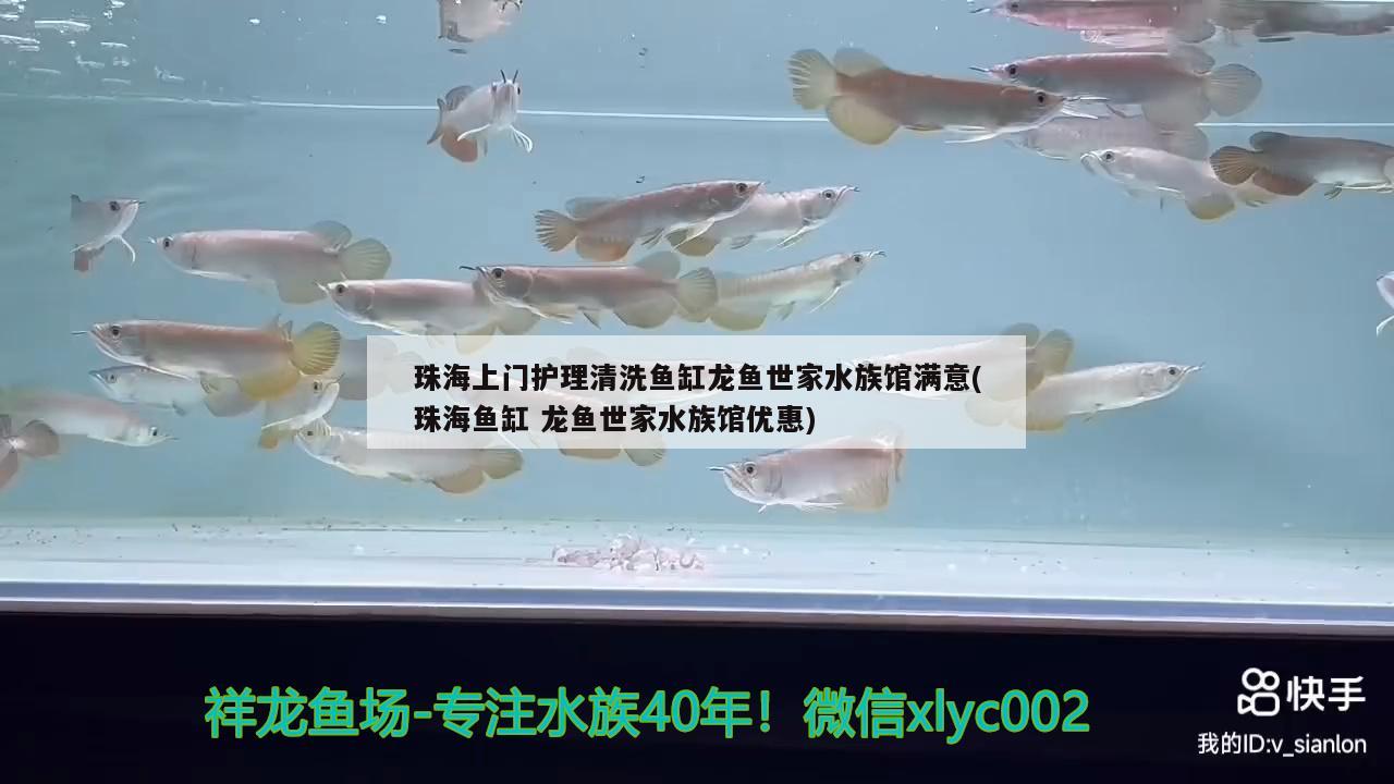 珠海上門護(hù)理清洗魚缸龍魚世家水族館滿意(珠海魚缸龍魚世家水族館優(yōu)惠)