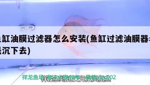 魚(yú)缸油膜過(guò)濾器怎么安裝(魚(yú)缸過(guò)濾油膜器老是沉下去) 祥龍龍魚(yú)專用水族燈