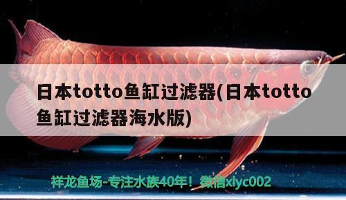 日本totto魚缸過濾器(日本totto魚缸過濾器海水版) 喂食器