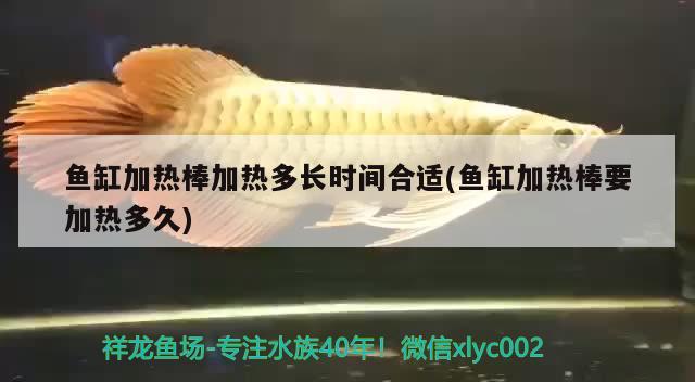 魚缸加熱棒加熱多長時間合適(魚缸加熱棒要加熱多久)