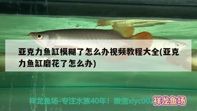 亞克力魚(yú)缸模糊了怎么辦視頻教程大全(亞克力魚(yú)缸磨花了怎么辦)