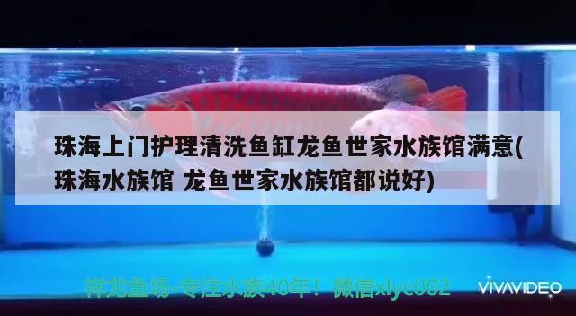 珠海上門護理清洗魚缸龍魚世家水族館滿意(珠海水族館龍魚世家水族館都說好) 非洲金鼓魚