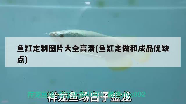 魚缸定制圖片大全高清(魚缸定做和成品優(yōu)缺點(diǎn)) 泰國虎魚（泰虎）