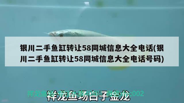 銀川二手魚缸轉(zhuǎn)讓58同城信息大全電話(銀川二手魚缸轉(zhuǎn)讓58同城信息大全電話號(hào)碼)