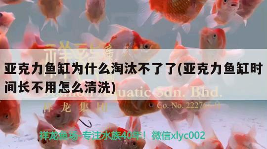 亞克力魚缸為什么淘汰不了了(亞克力魚缸時(shí)間長不用怎么清洗) 魚缸凈水劑