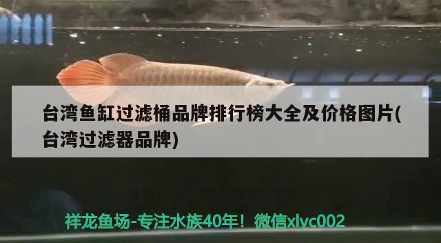 臺(tái)灣魚缸過(guò)濾桶品牌排行榜大全及價(jià)格圖片(臺(tái)灣過(guò)濾器品牌) 祥龍藍(lán)珀金龍魚