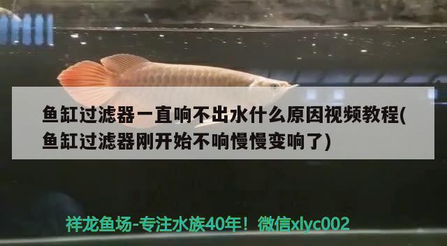 魚缸過濾器一直響不出水什么原因視頻教程(魚缸過濾器剛開始不響慢慢變響了)