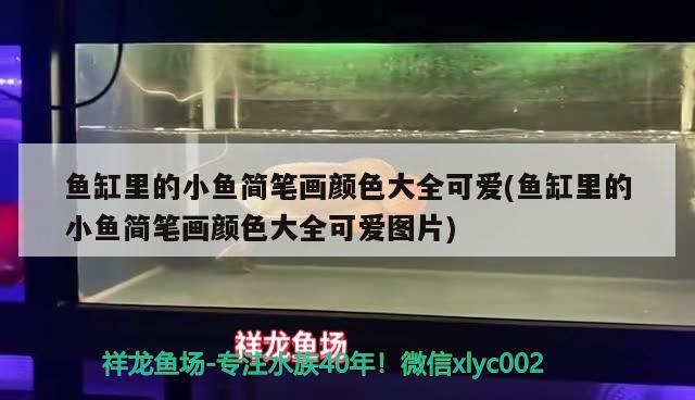 魚缸里的小魚簡筆畫顏色大全可愛(魚缸里的小魚簡筆畫顏色大全可愛圖片)