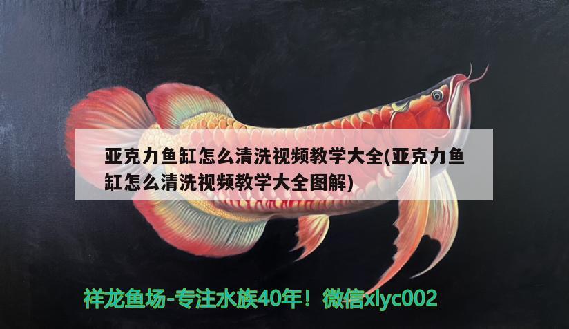 亞克力魚缸怎么清洗視頻教學(xué)大全(亞克力魚缸怎么清洗視頻教學(xué)大全圖解) 狗仔（招財(cái)貓)魚苗