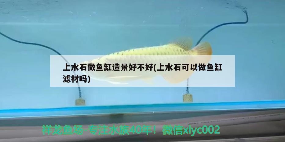 上水石做魚缸造景好不好(上水石可以做魚缸濾材嗎)