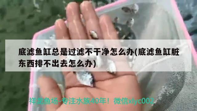 底濾魚缸總是過濾不干凈怎么辦(底濾魚缸臟東西排不出去怎么辦)