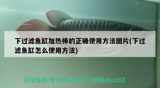 下過濾魚缸加熱棒的正確使用方法圖片(下過濾魚缸怎么使用方法)