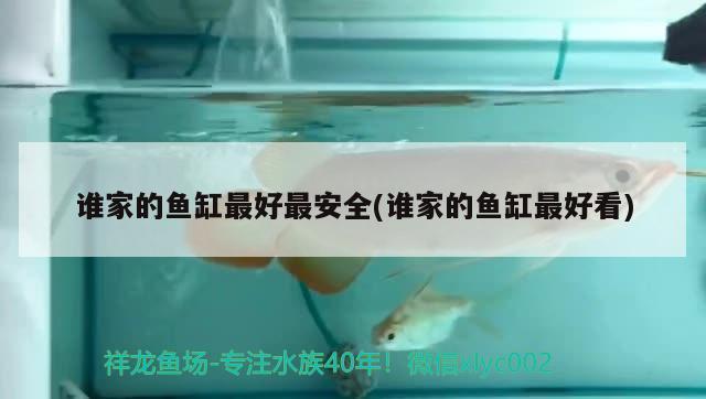 誰家的魚缸最好最安全(誰家的魚缸最好看)