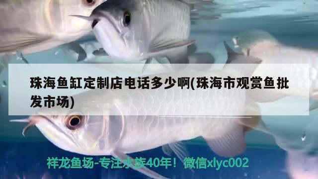 珠海魚(yú)缸定制店電話(huà)多少啊(珠海市觀賞魚(yú)批發(fā)市場(chǎng))