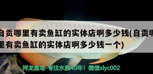 自貢哪里有賣魚缸的實體店啊多少錢(自貢哪里有賣魚缸的實體店啊多少錢一個)