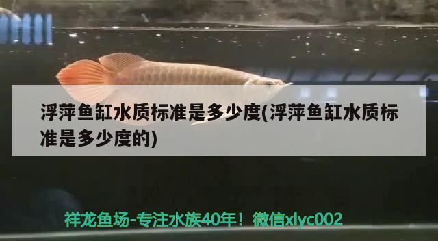 浮萍魚缸水質(zhì)標(biāo)準(zhǔn)是多少度(浮萍魚缸水質(zhì)標(biāo)準(zhǔn)是多少度的)