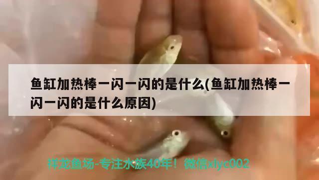 魚(yú)缸加熱棒一閃一閃的是什么(魚(yú)缸加熱棒一閃一閃的是什么原因)