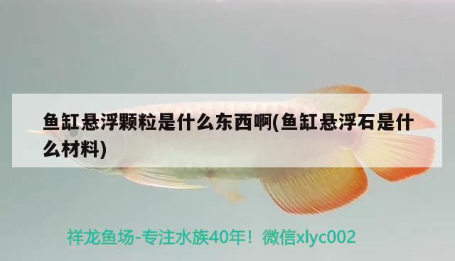 魚缸懸浮顆粒是什么東西啊(魚缸懸浮石是什么材料)