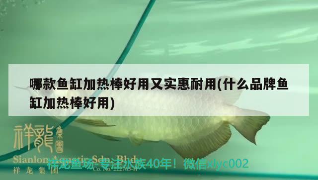 哪款魚缸加熱棒好用又實惠耐用(什么品牌魚缸加熱棒好用) 鐵甲武士