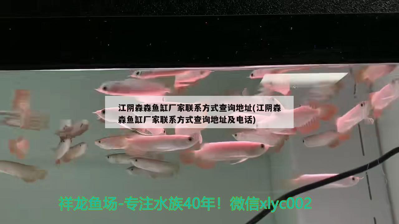 江陰森森魚缸廠家聯(lián)系方式查詢地址(江陰森森魚缸廠家聯(lián)系方式查詢地址及電話) 麥肯斯銀版魚