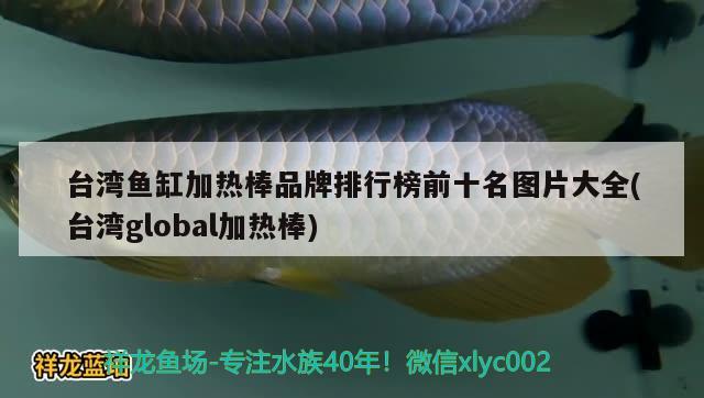 臺灣魚缸加熱棒品牌排行榜前十名圖片大全(臺灣global加熱棒) 白子銀龍魚苗